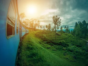 Escape to Paradise: Only Guide You Need to Beautiful Sri Lanka